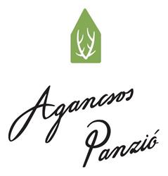 Agancsos Panzió