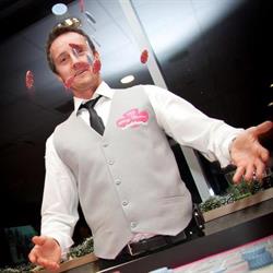 VIP Party Service & Casino