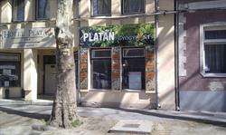 Platán Gyógypont