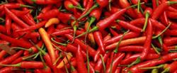 Valami Chili