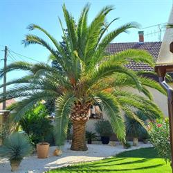 Mediterrán Sziget