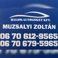 Halom-Autósziget Kft