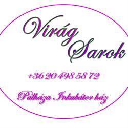 Virág Sarok