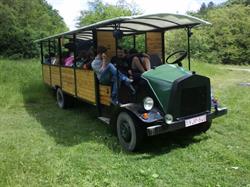 Szafari busz