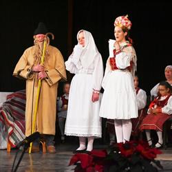 Érdi Bukovinai Székely Népdalkör egyesület