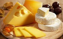 Cheese and Food Kft.