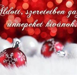 Andi kutyaszépségszalon