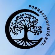 Forrásteremtő Kft.