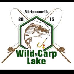 Wild Carp Lake Vértessomló