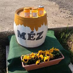 Wenhardt Termelői Méz