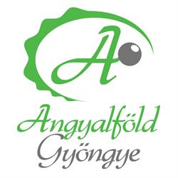Angyalföld Gyöngye 27 lakásos társasház