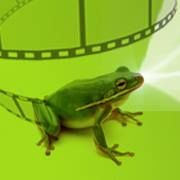 BÉKA Filmklub
