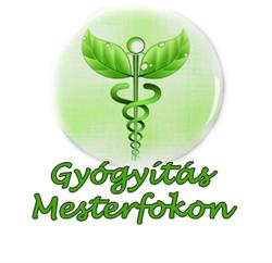 Ajurvéda Gyógyítás Mesterfokon