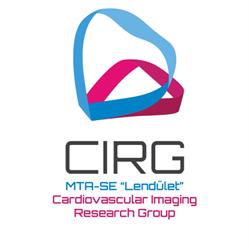 Cardiovascular Imaging Research Group - CIRG