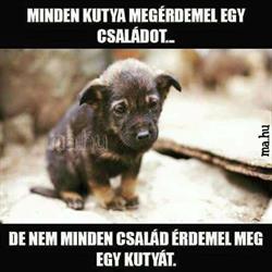 Eb-Ugat-Lak Állatvédő Egyesület
