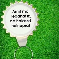Méh Kazincbarcika