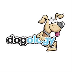 Dogology - Kutya-fizioterápia, kutyaoktatás
