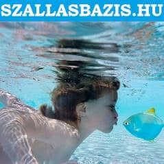 Szallasbazis.hu - Horvátország, Montenegró, Nyaralás, Apartmanok