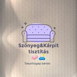 Szőnyeg-Kárpit tisztítás, Takarítógép bérlés