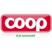 Mini Coop Solymár