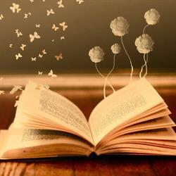 Silver Book Kft.
