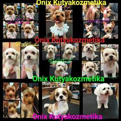 Onix Kutyakozmetika PÁTY