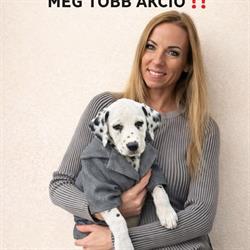 Passzió Goo Békéscsaba