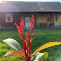 Tiszavirág Vendégház/Guesthouse