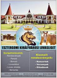 Esztergomi Királyvárosi Lovasliget