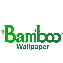 Bamboo wallpaper