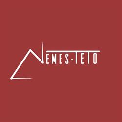 Nemes-Tető Kft.