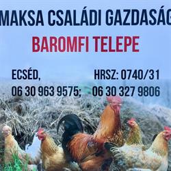 MAKSA Baromfi Gazdaság