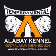 Temperamental-Alabay Kennel