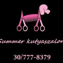 Summer Kutyaszalon, Nyergesújfalu - Nyári Csilla kutyakozmetikus