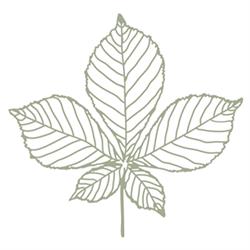 Szaletly