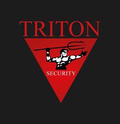 Triton Security Kft