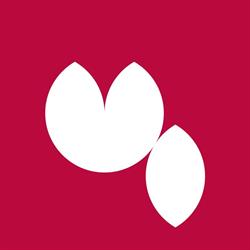 Webjoy Design