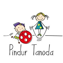 Pindur Tanoda Mozgásfejlesztés TSMT-vel Szegeden