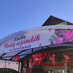 Emilia Virág Ajándék