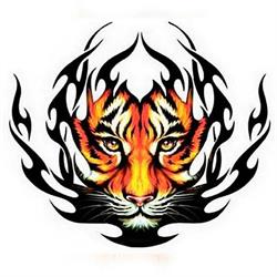 Tigers Gym