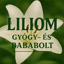 Liliom Gyógy és Bababolt