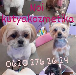 Noi Kutyakozmetika - Troppert Noémi