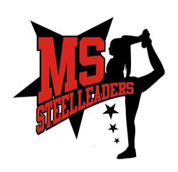 Miskolc Steelleaders