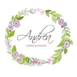 Andrea Virág & Dekor