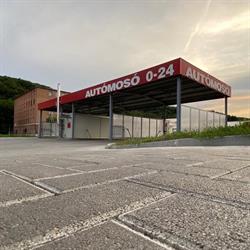 Spori mosi