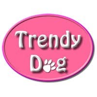Trendy Dog