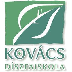 Kovács Díszfaiskola