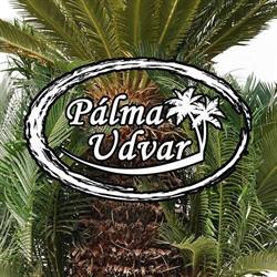 Pálma Udvar