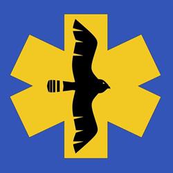 Falcon Ambulance Service Zrt