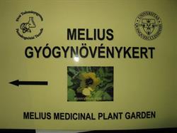 Melius Gyógynövénykert / Melius Medicinal Plant Garden, Pécs